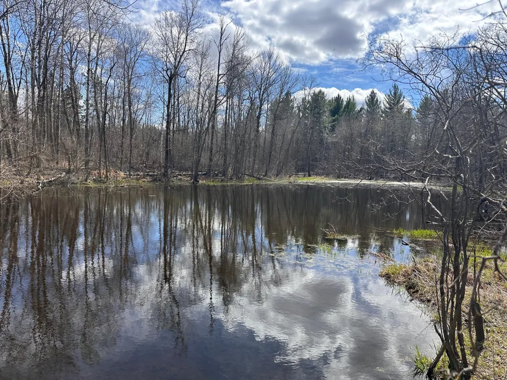 TBD Bass Lake Road Osage, MN 56570