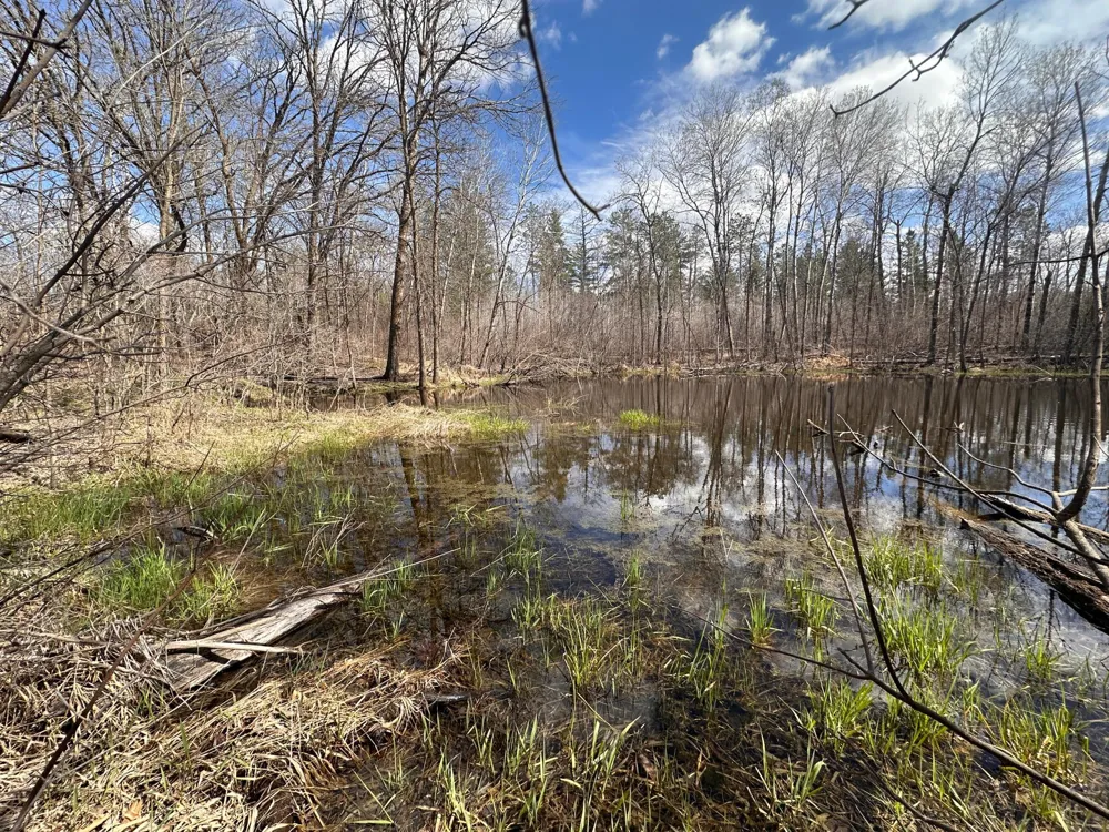 TBD Bass Lake Road Osage, MN 56570