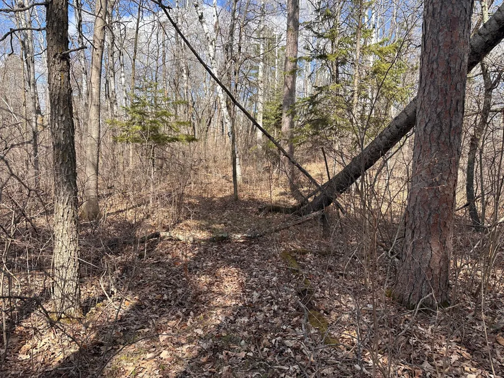 TBD Bass Lake Road Osage, MN 56570