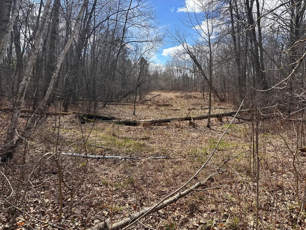 TBD Bass Lake Road Osage, MN 56570