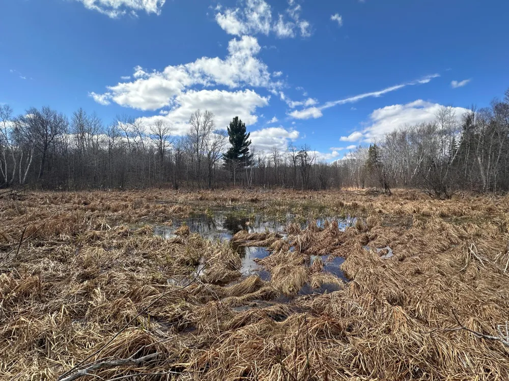 TBD Bass Lake Road Osage, MN 56570