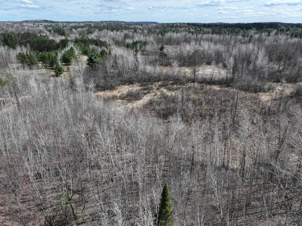 TBD Bass Lake Road Osage, MN 56570