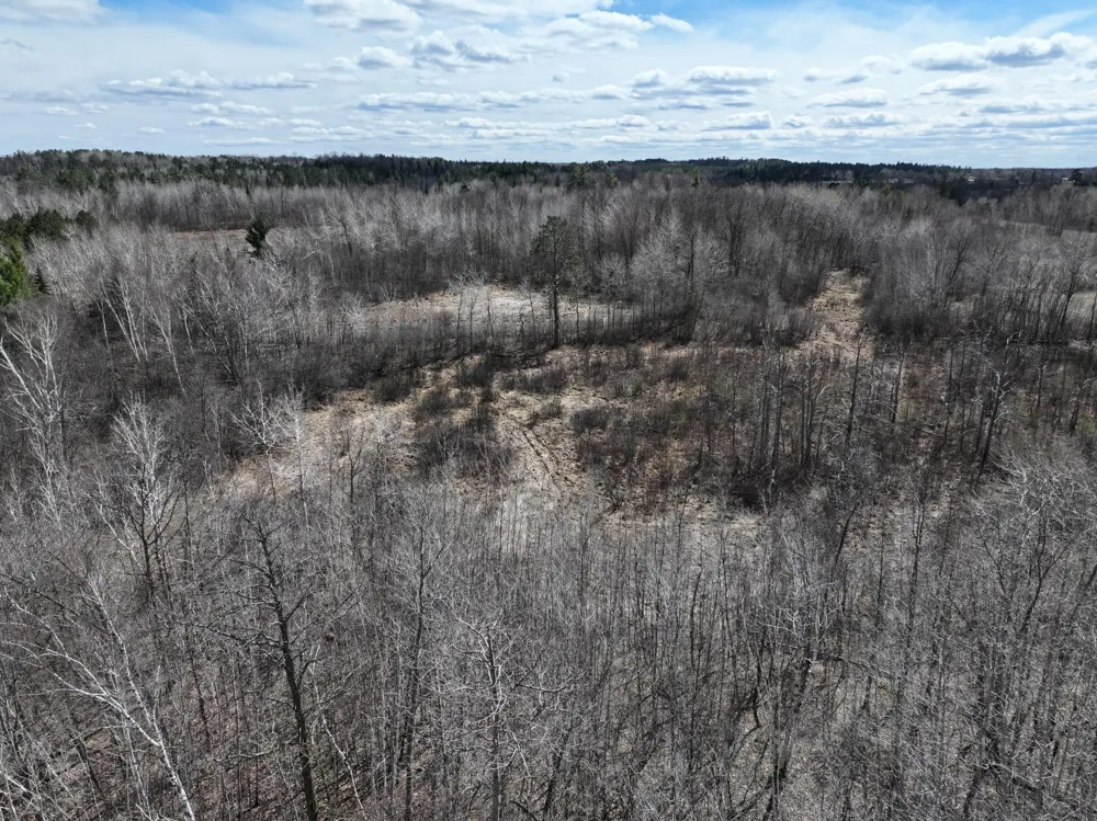 TBD Bass Lake Road Osage, MN 56570