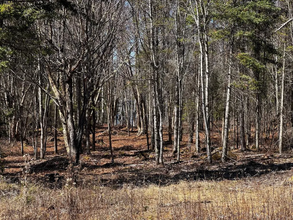 417 Barrel Road Ely, MN 55731