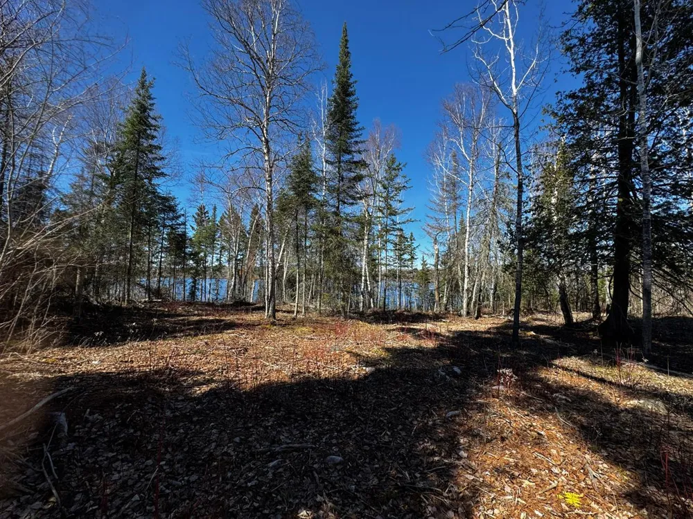 417 Barrel Road Ely, MN 55731