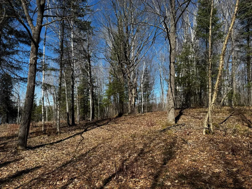 417 Barrel Road Ely, MN 55731
