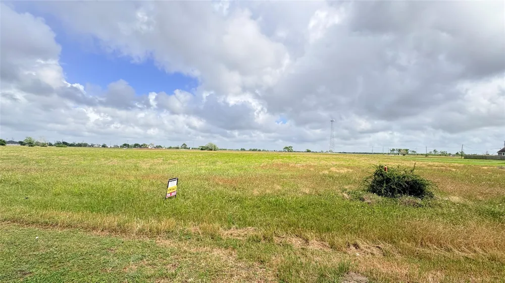383 Brahman Trail Angleton, TX 77515
