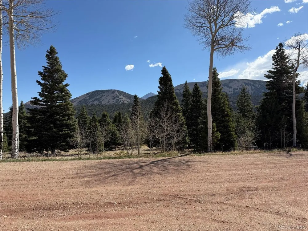 44 Valley Vista Road #38 Cuchara, CO 81055
