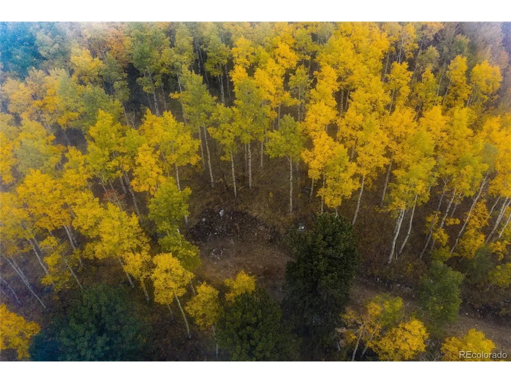 0 Robinson Hill Road Golden, CO 80403
