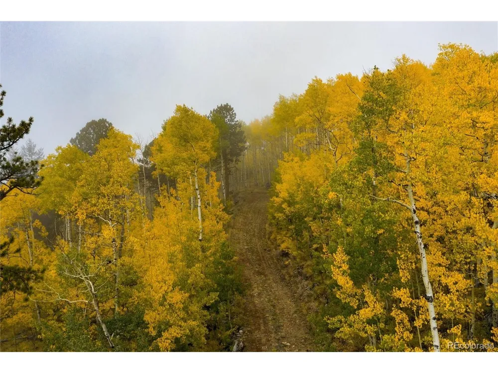 0 Robinson Hill Road Golden, CO 80403