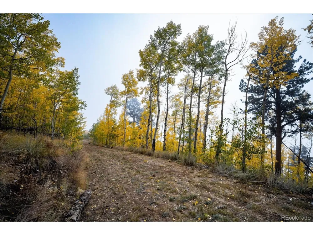 0 Robinson Hill Road Golden, CO 80403