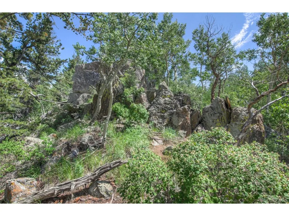 0 Robinson Hill Road Golden, CO 80403