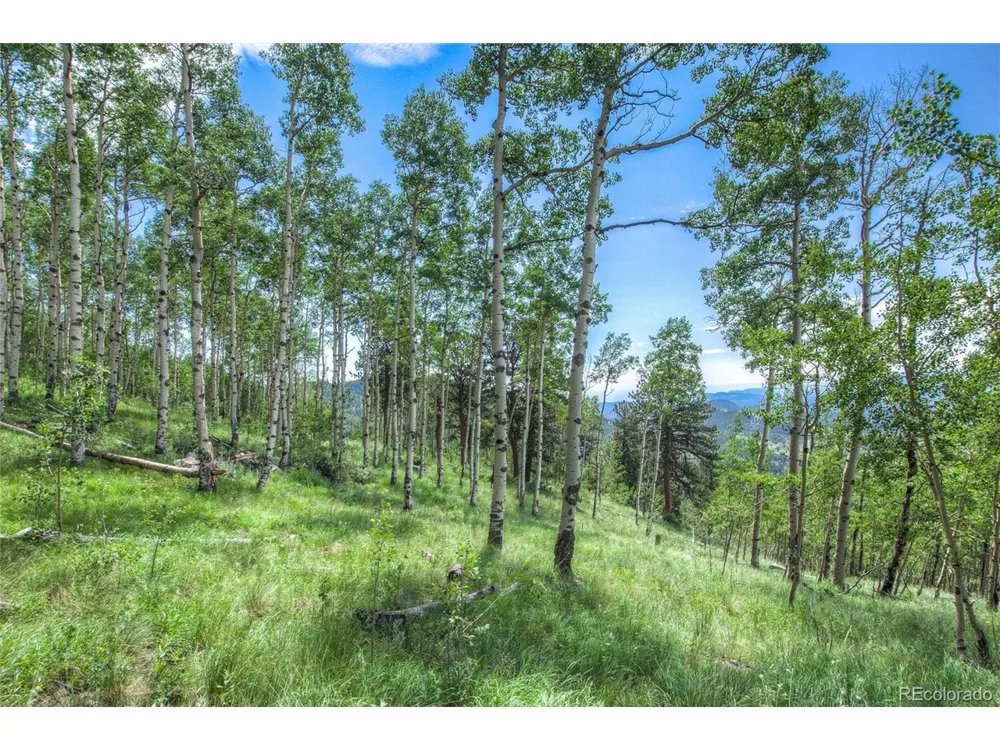 0 Robinson Hill Road Golden, CO 80403