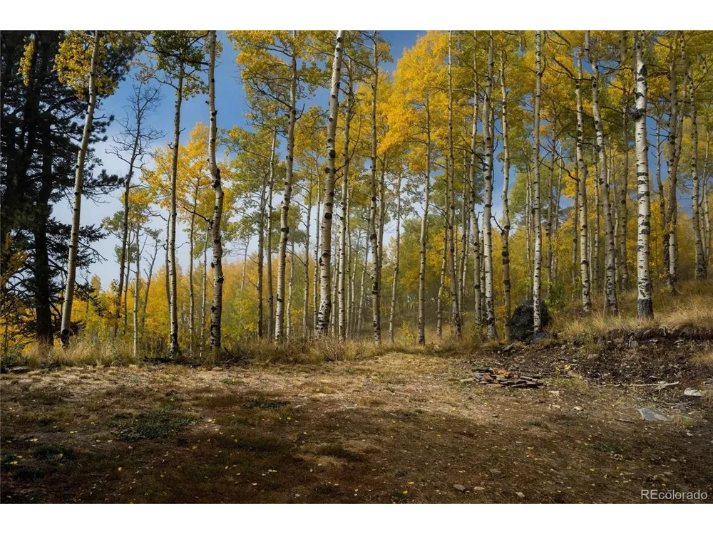 0 Robinson Hill Road Golden, CO 80403
