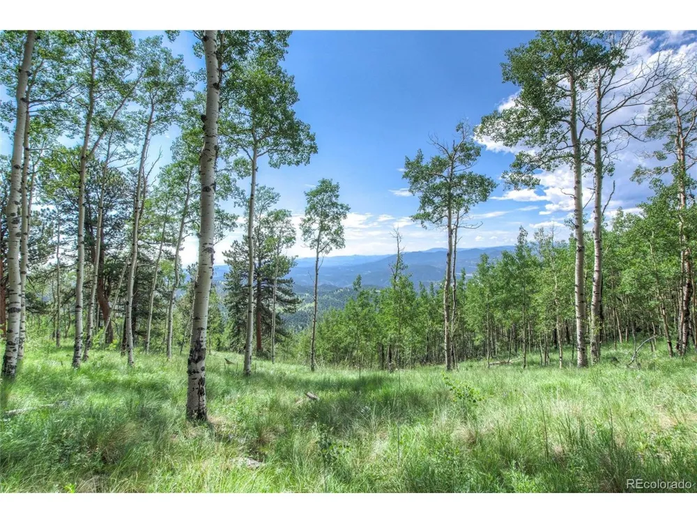 0 Robinson Hill Road Golden, CO 80403