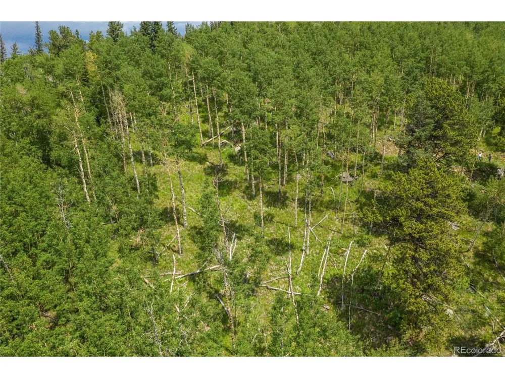 0 Robinson Hill Road Golden, CO 80403