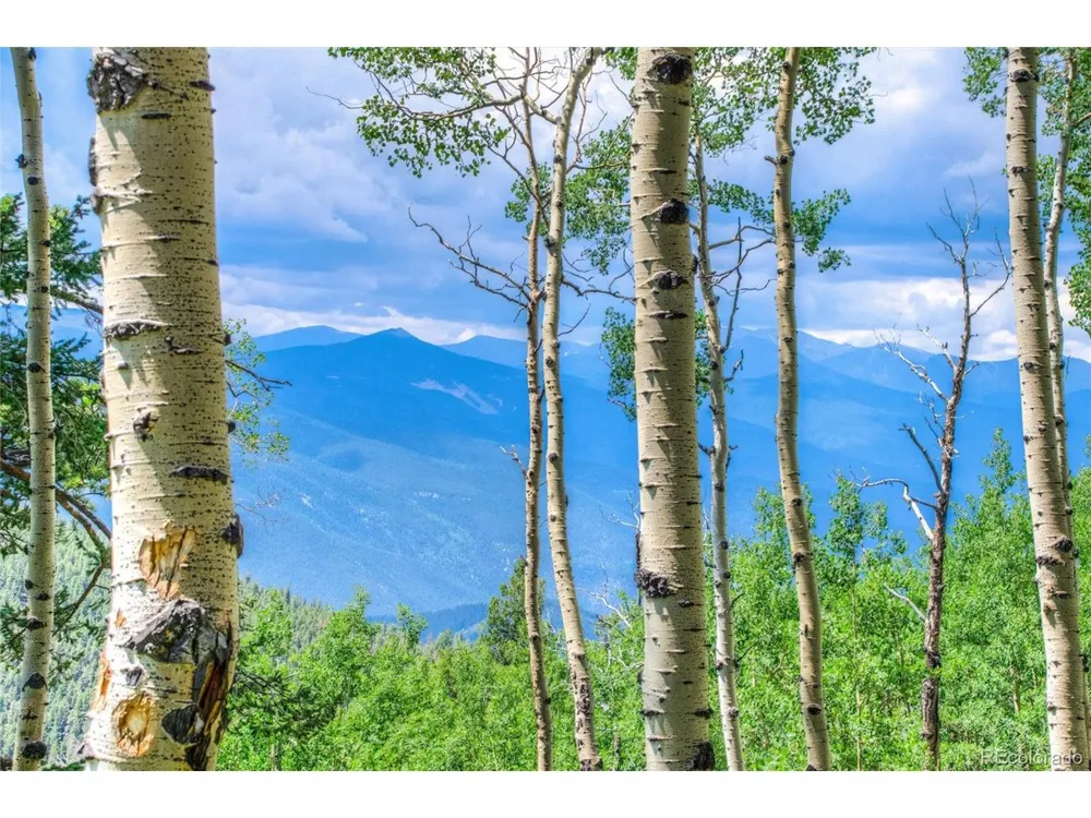 0 Robinson Hill Road Golden, CO 80403