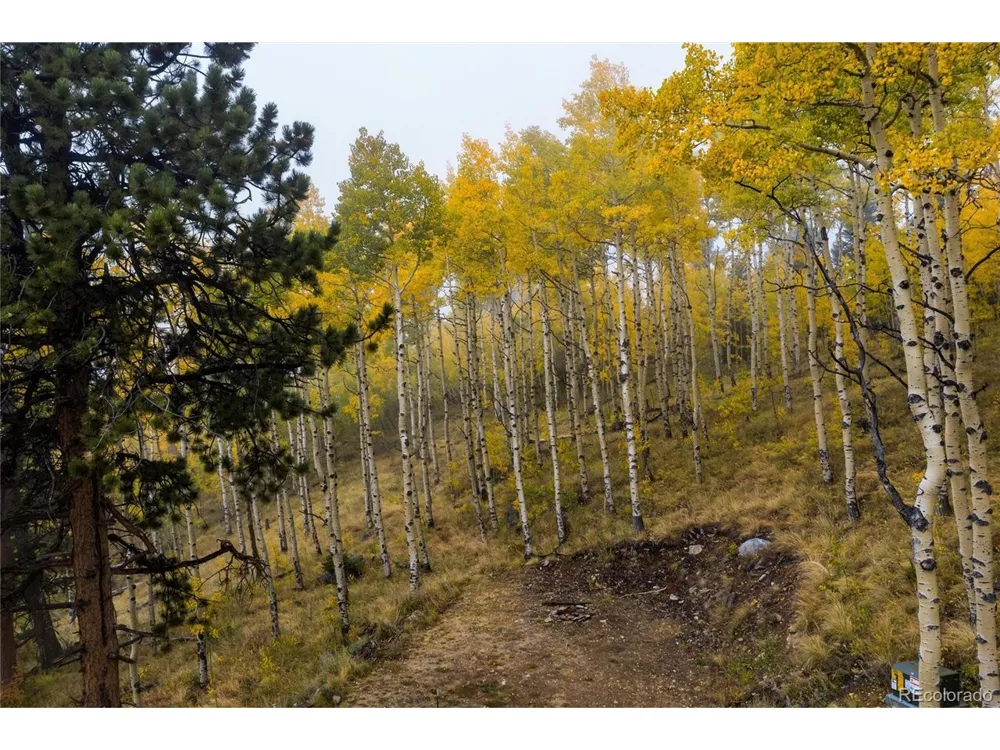 0 Robinson Hill Road Golden, CO 80403