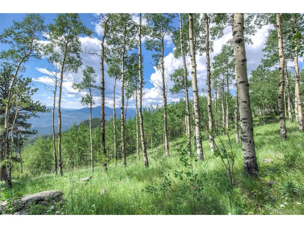 0 Robinson Hill Road Golden, CO 80403