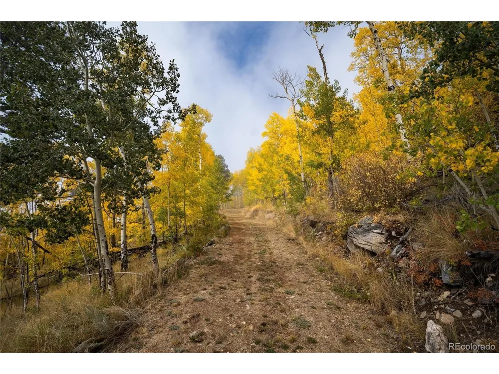 0 Robinson Hill Road Golden, CO 80403