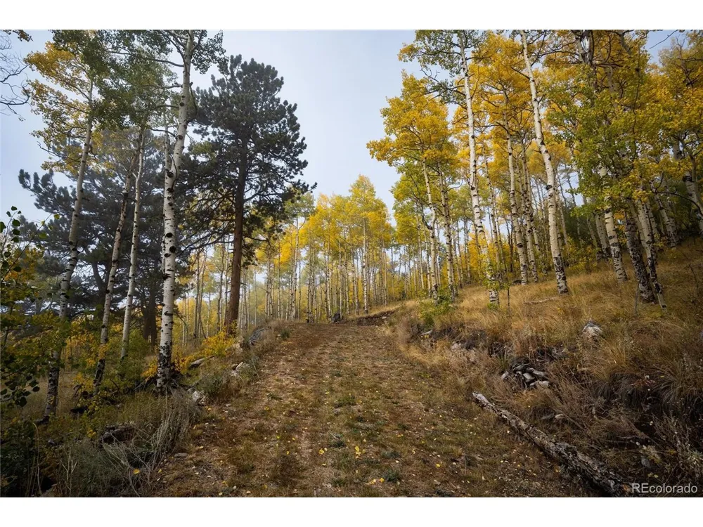 0 Robinson Hill Road Golden, CO 80403