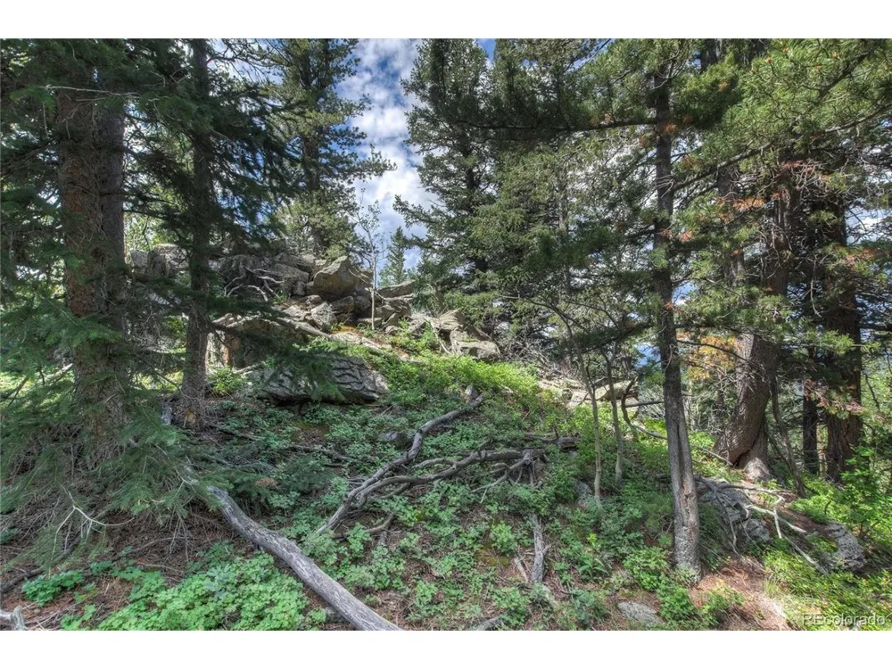 0 Robinson Hill Road Golden, CO 80403