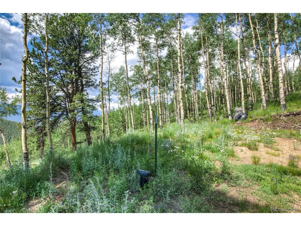 0 Robinson Hill Road Golden, CO 80403