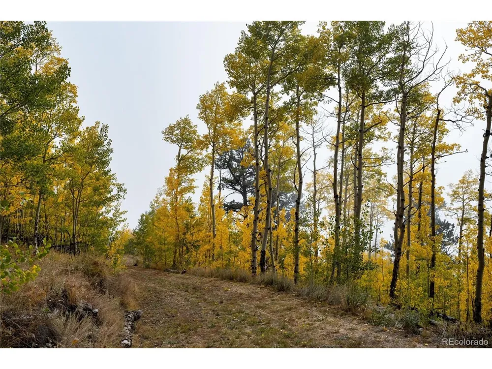 0 Robinson Hill Road Golden, CO 80403