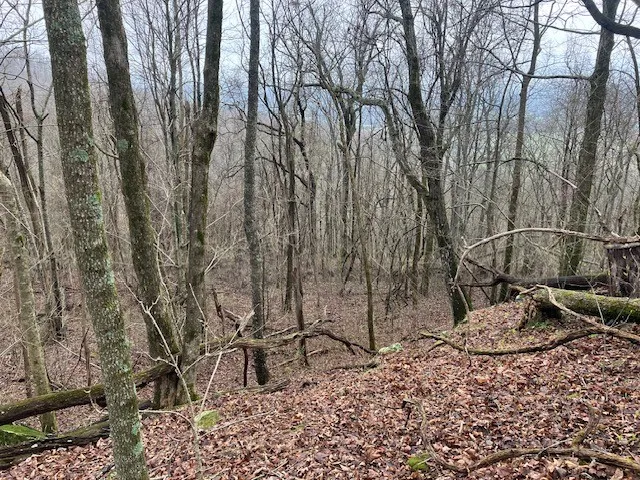 0 Talley Top Trl Huntland, TN 37345