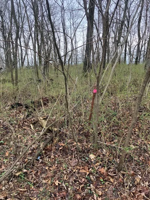 0 Talley Top Trl Huntland, TN 37345