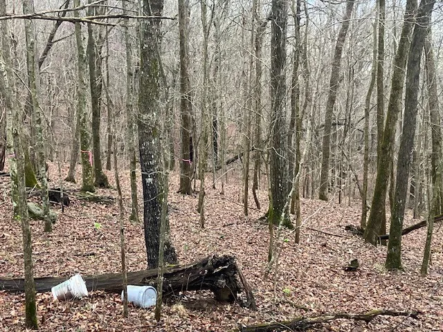 0 Talley Top Trl Huntland, TN 37345