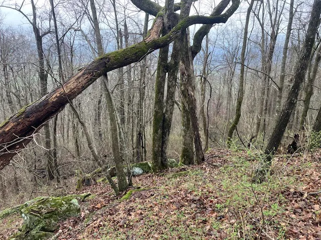 0 Talley Top Trl Huntland, TN 37345
