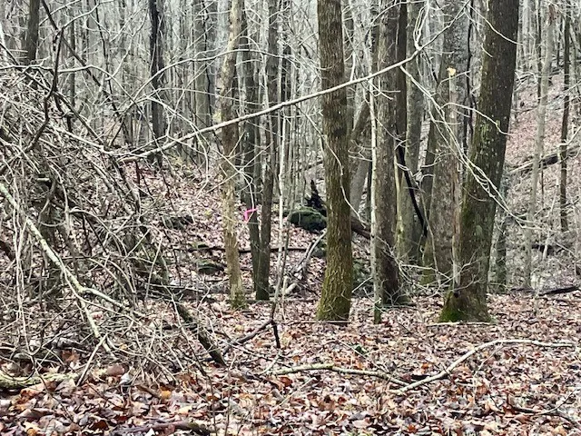 0 Talley Top Trl Huntland, TN 37345