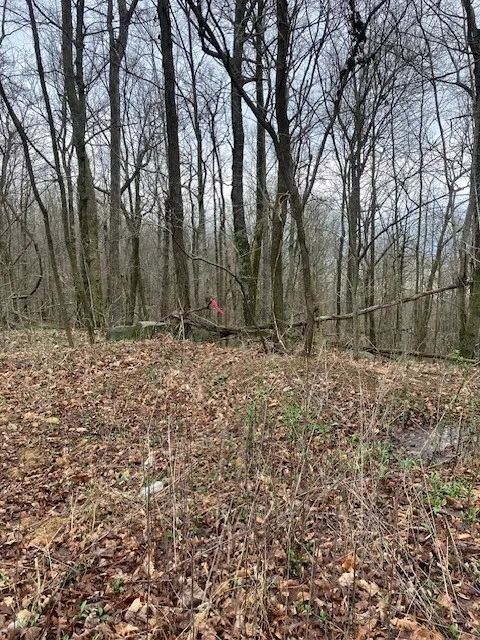0 Talley Top Trl Huntland, TN 37345