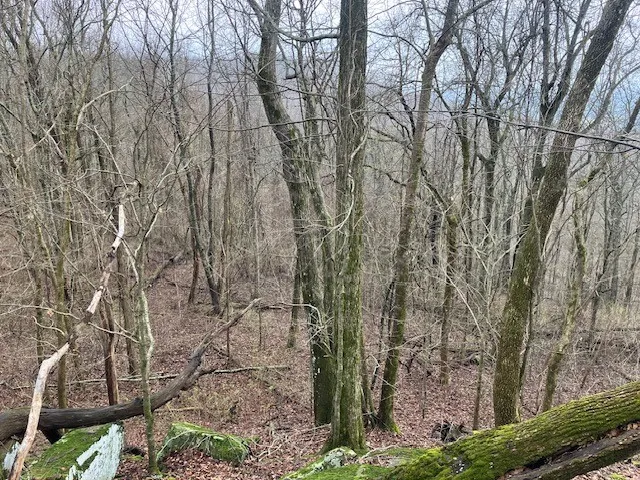 0 Talley Top Trl Huntland, TN 37345
