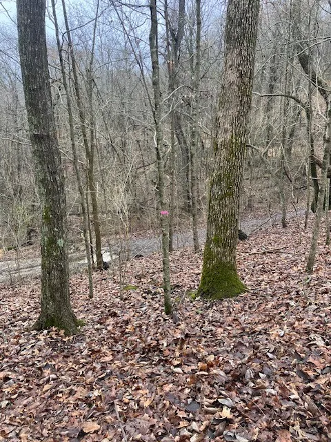 0 Talley Top Trl Huntland, TN 37345
