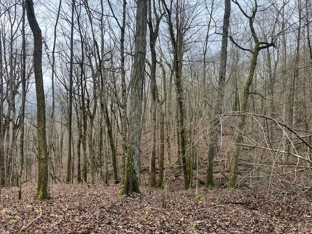 0 Talley Top Trl Huntland, TN 37345