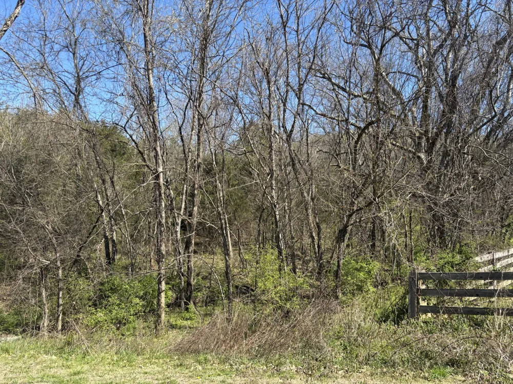 0 Nolensville Rd Nolensville, TN 37135