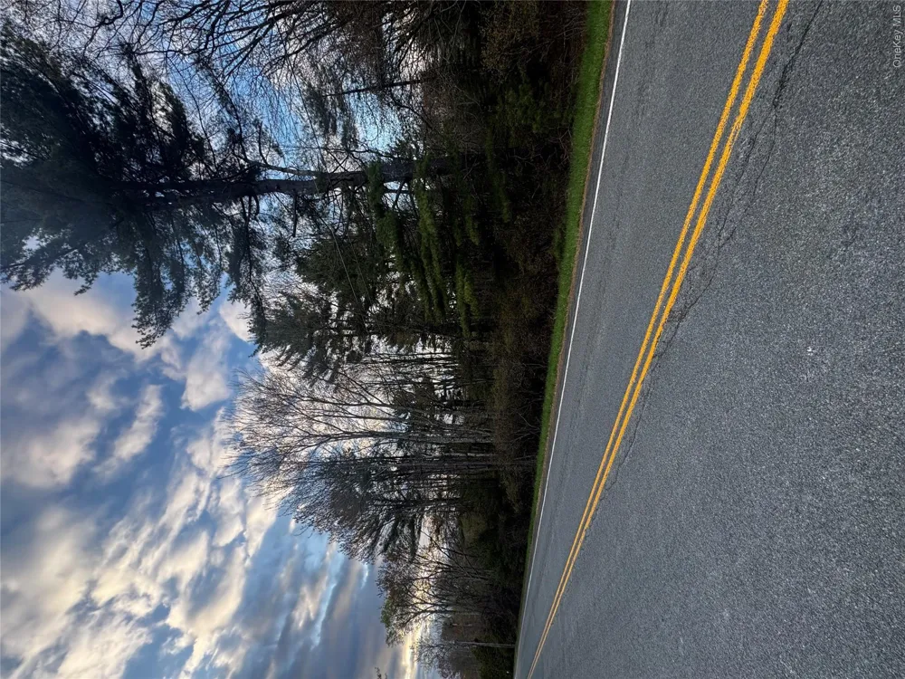 TBD 000 Ulster Heights Road Fallsburg, NY 12733