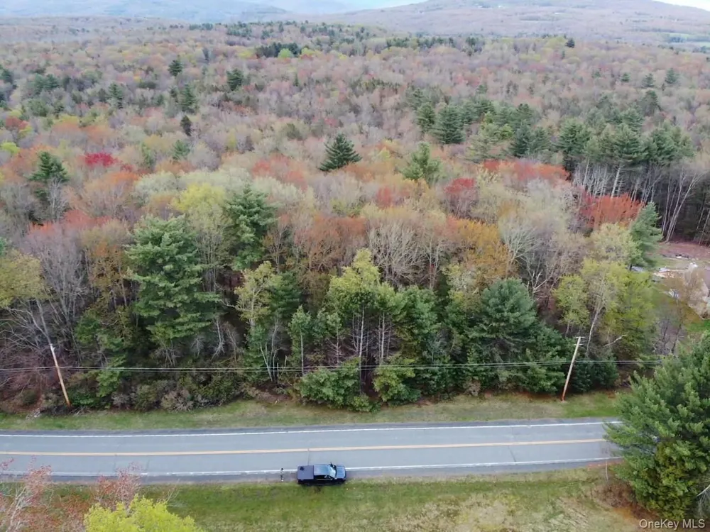 TBD 000 Ulster Heights Road Fallsburg, NY 12733