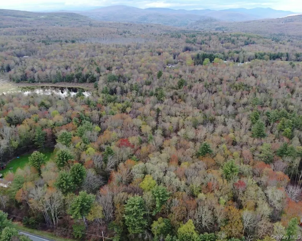 TBD 000 Ulster Heights Road Fallsburg, NY 12733