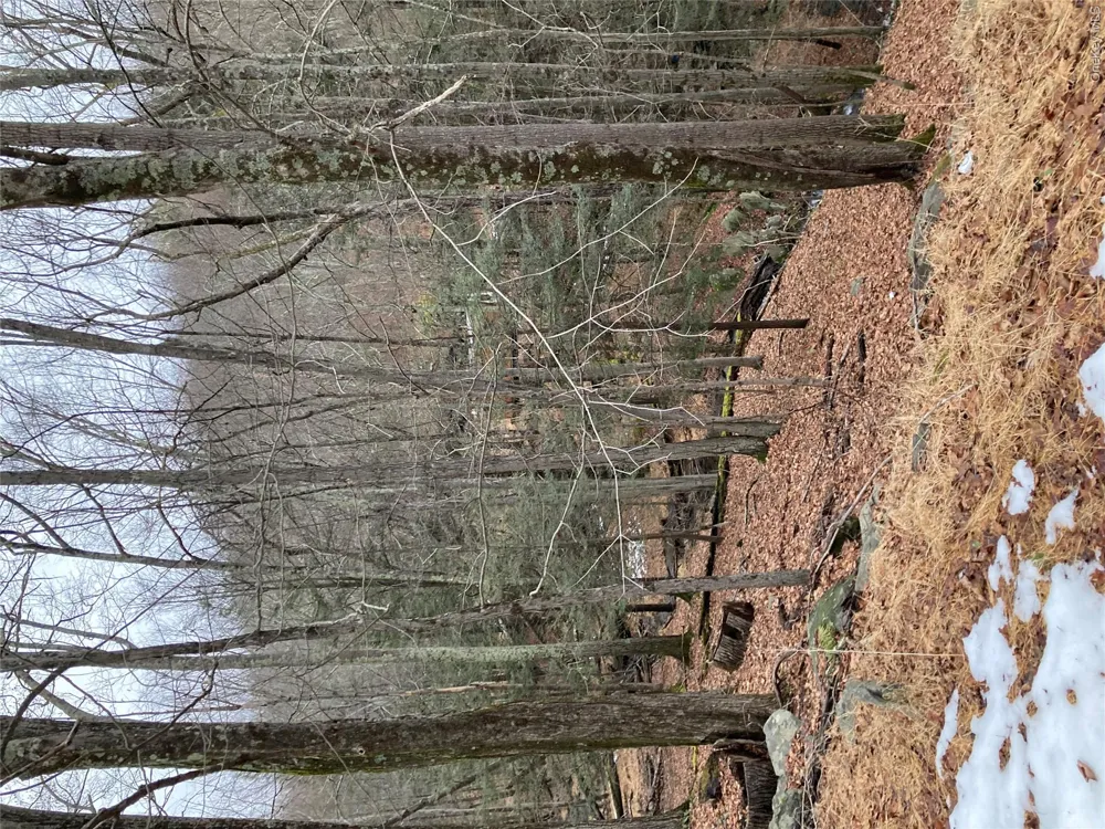 Red Hill Road Wurtsboro, NY 12790