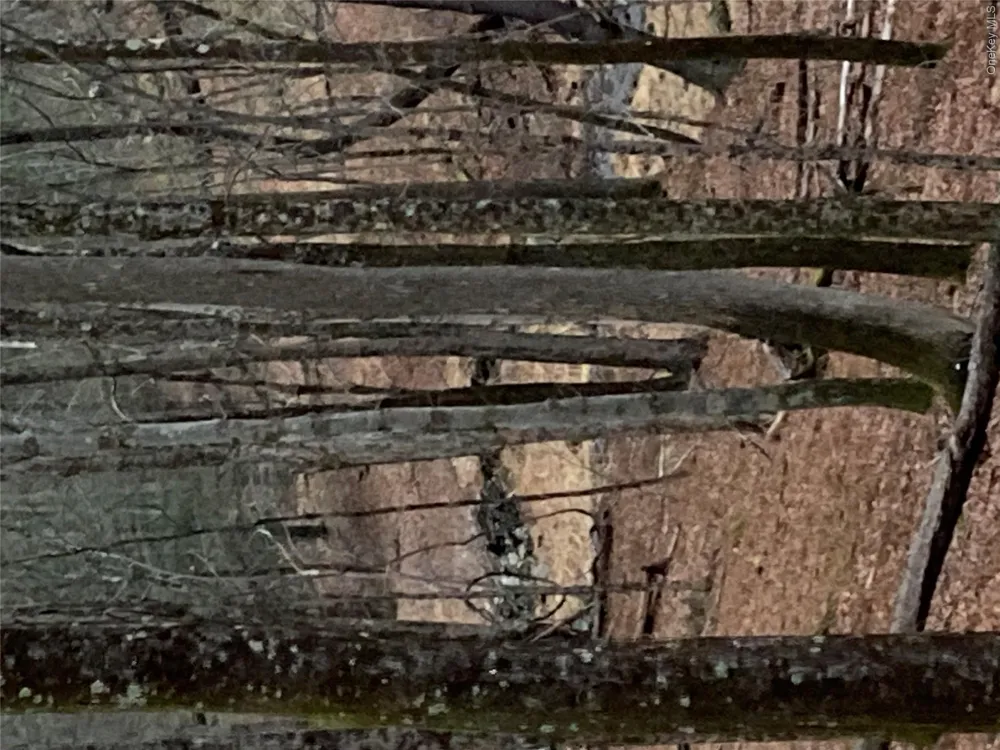 Red Hill Road Wurtsboro, NY 12790