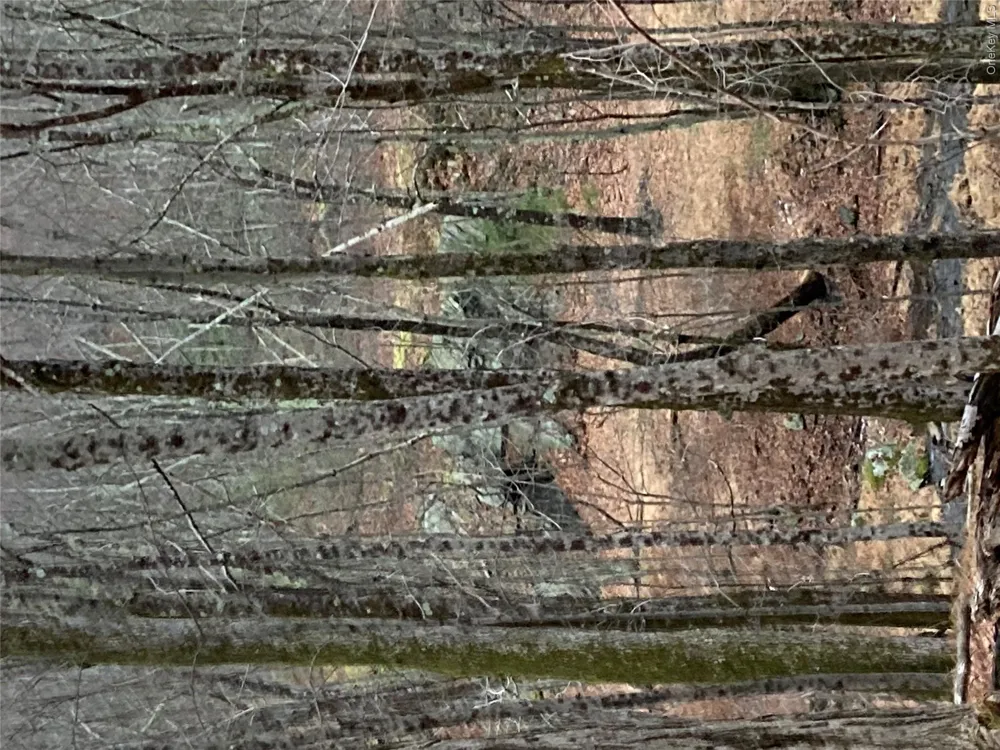 Red Hill Road Wurtsboro, NY 12790