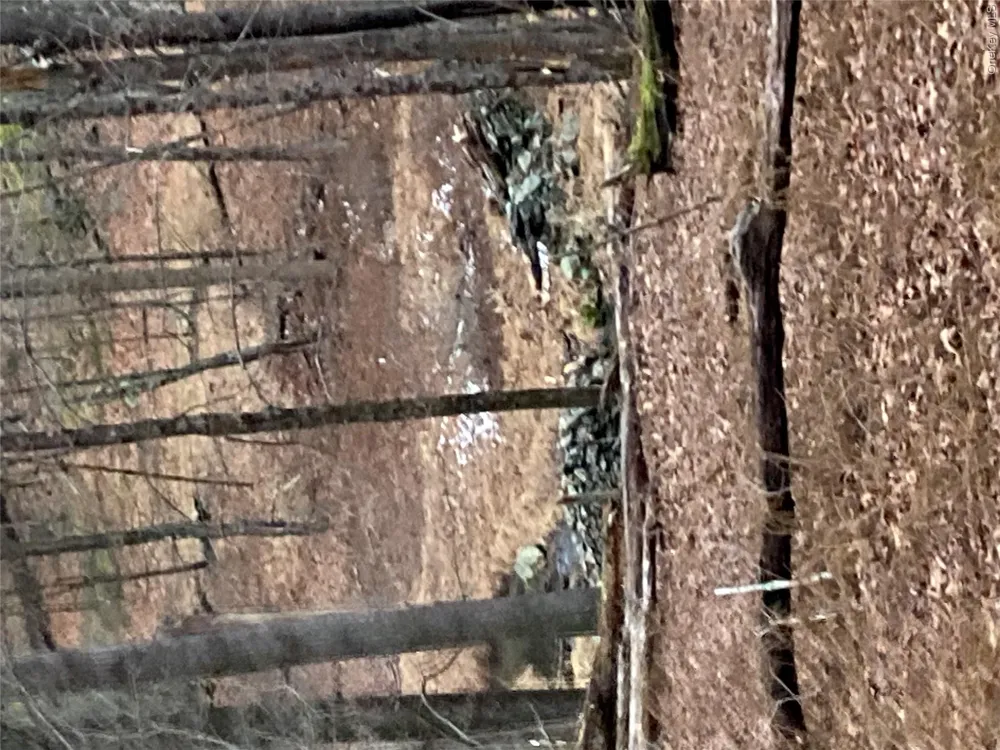 Red Hill Road Wurtsboro, NY 12790