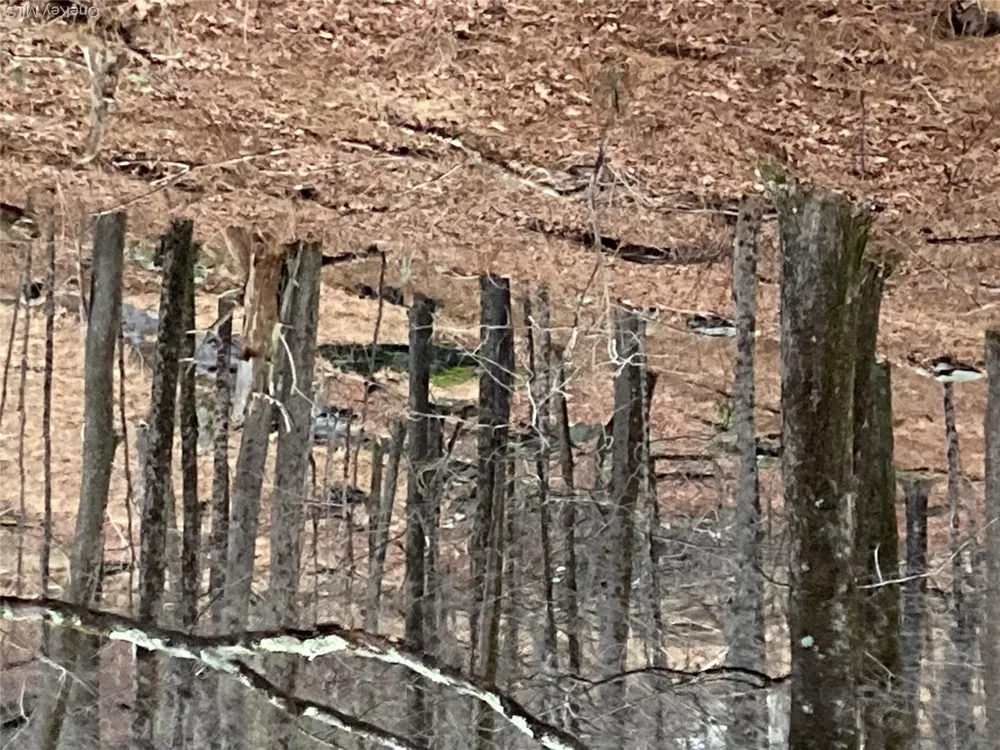 Red Hill Road Wurtsboro, NY 12790