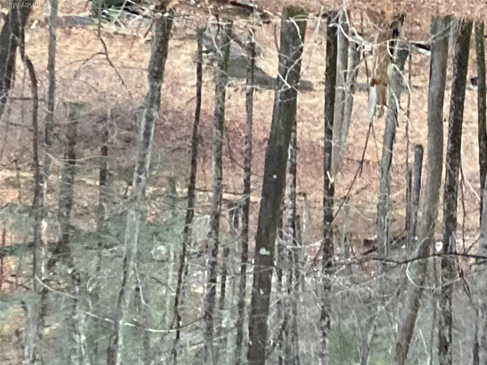 Red Hill Road Wurtsboro, NY 12790