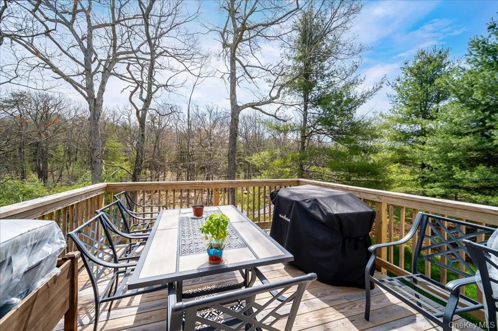68 Picadilly Circle Rock Hill, NY 12775