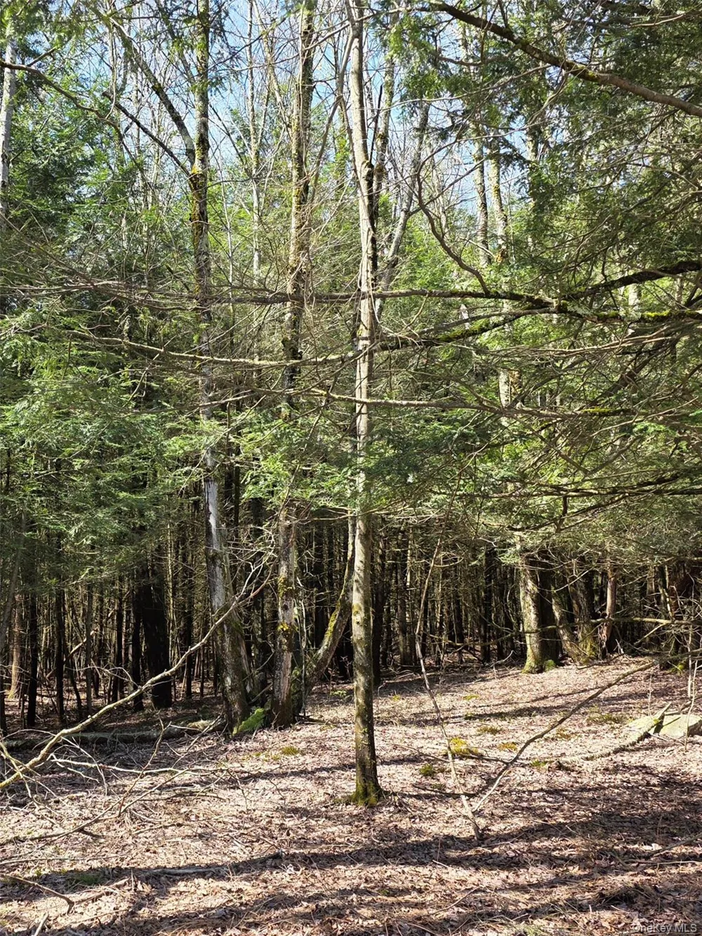 Highview Acres Parksville, NY 12768