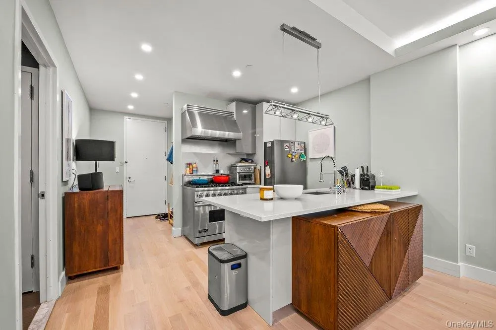 226 50th Avenue #3D Long Island City, NY 11101